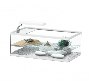 Tortum Turtle Tank 55 x 30 x 20 cm, White